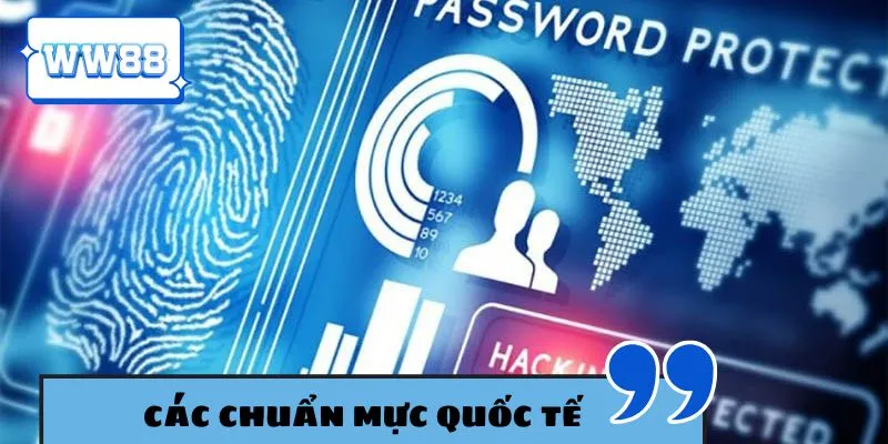 Khám phá hệ thống chuẩn mực quốc tế đang được áp dụng